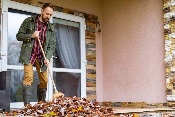 Best Furniture Removal Near Me  in Bald Kno, AR